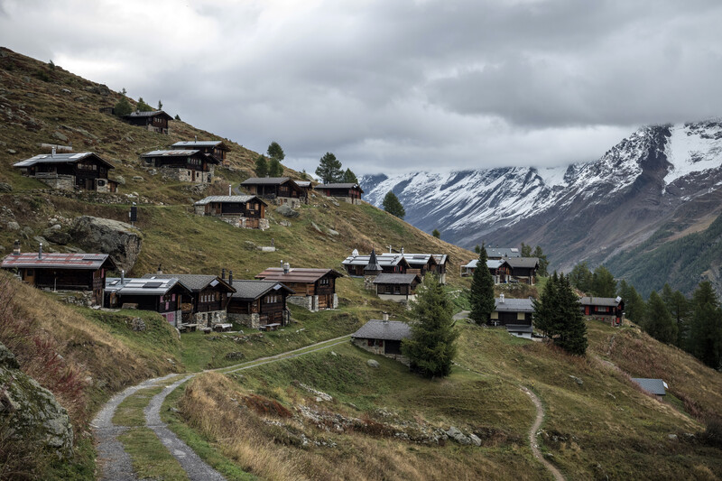 November 4, 2025 photos from The New York Times