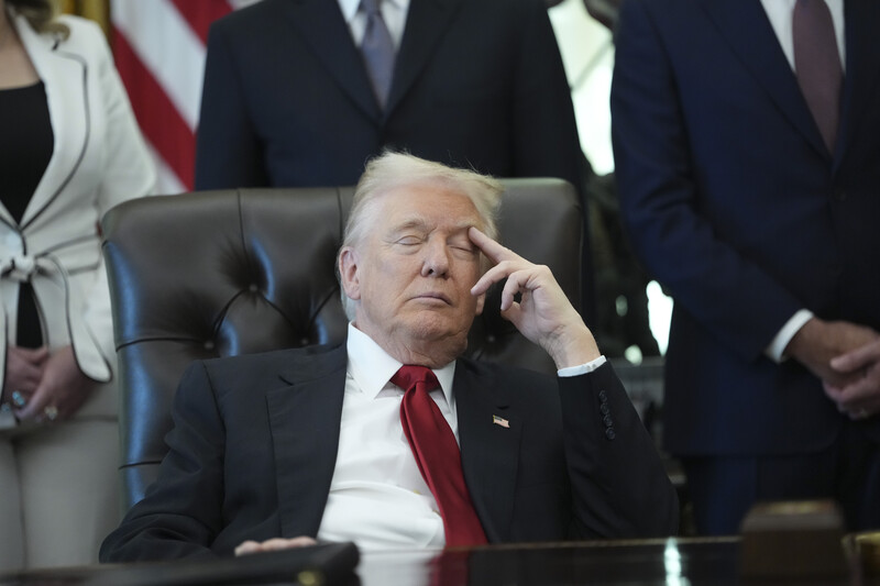 November 7, 2025 photos from The New York Times