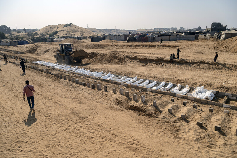 November 11, 2025 photos from The New York Times