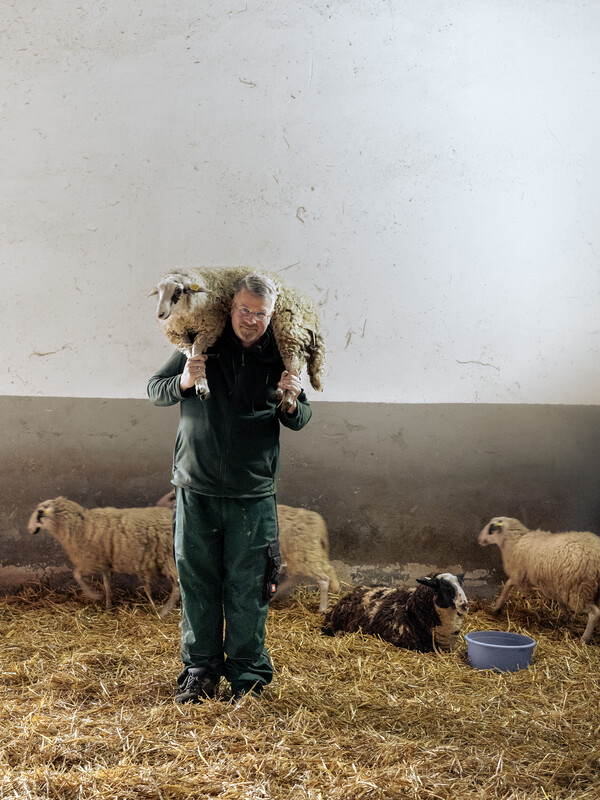 November 12, 2025 photos from The New York Times