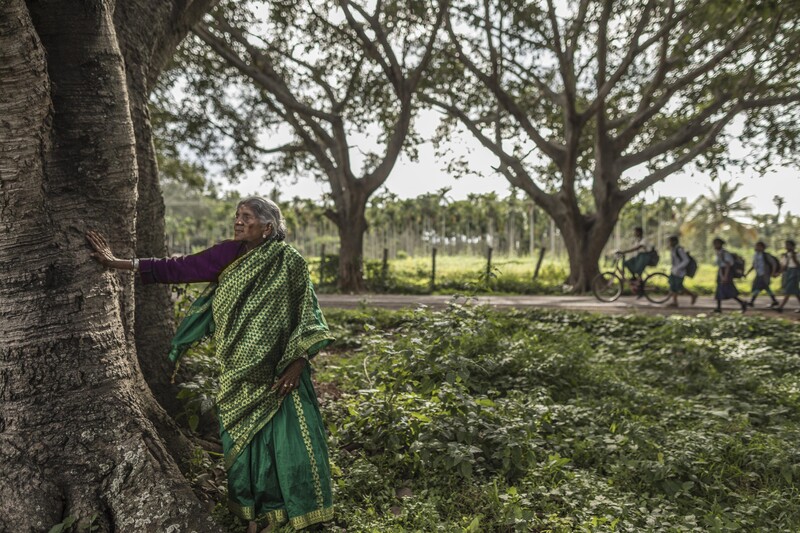 Saalumarada Thimmakka by John Stanmeyer / VII