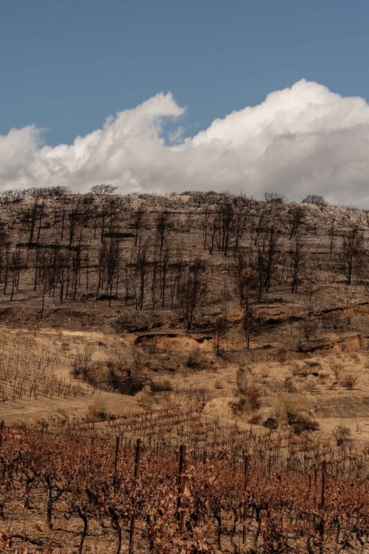 Our Planet at +1.5°C - Visible Effects of Global Warming Around the World by Adrienne Surprenant / MYOP