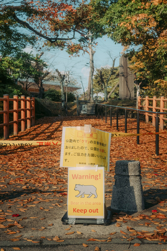 November 21, 2025 photos from The New York Times