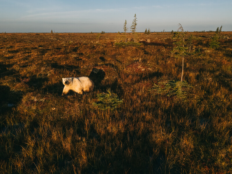 December 4, 2025 photos from The New York Times