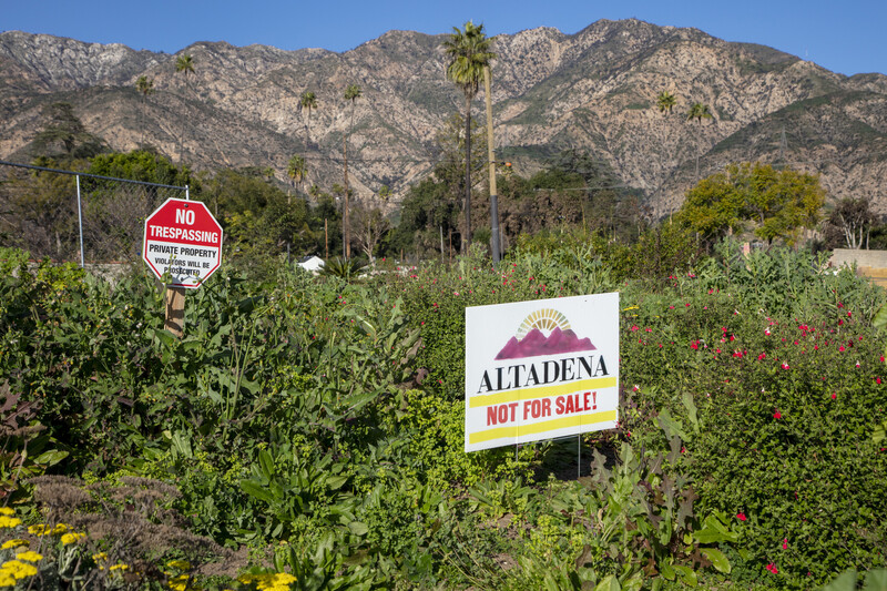 Altadena One Year Later by Elena Dorfman