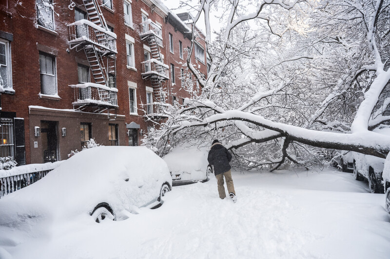 February 24, 2026 photos from The New York Times