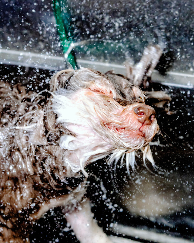 March 10, 2026 photos from The New York Times