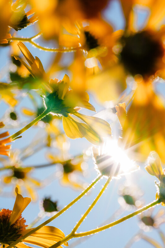 March 13, 2026 photos from The New York Times