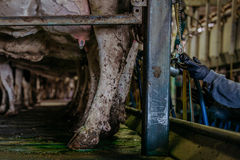 March 28, 2026 photos from The New York Times