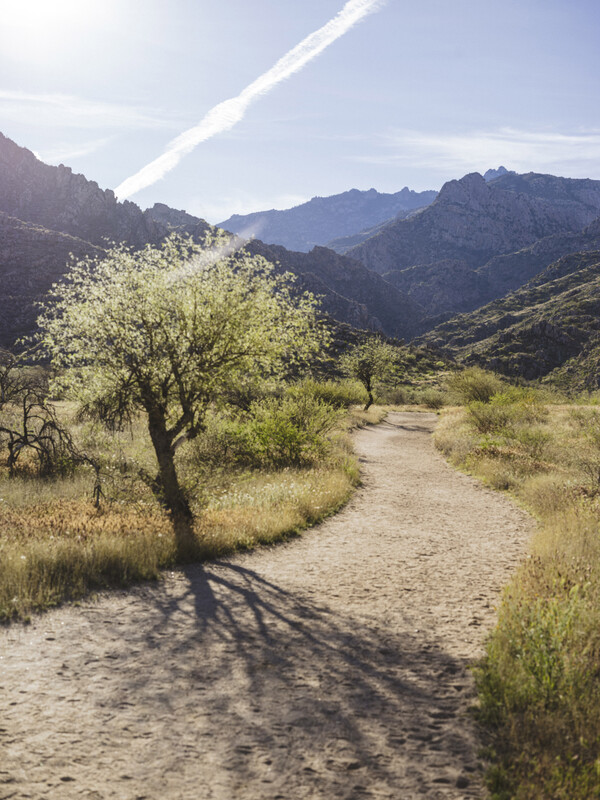 April 8, 2026 photos from The New York Times