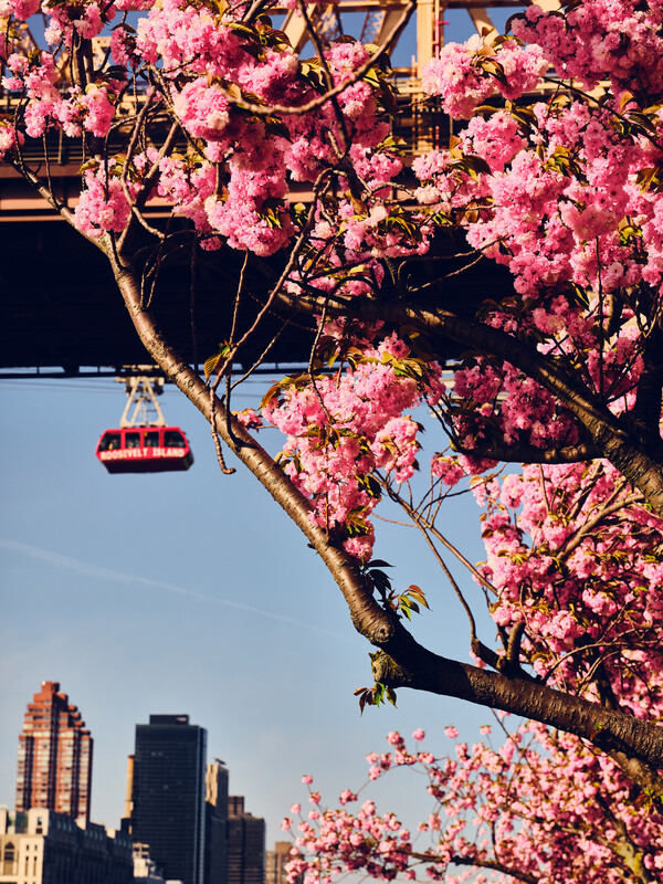 April 24, 2026 photos from The New York Times