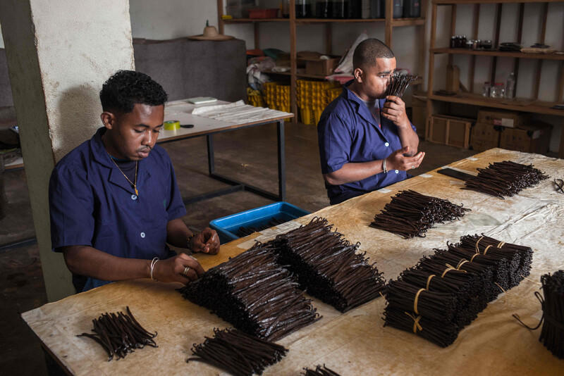 Madagascar Vanilla by Rijasolo / Riva Press