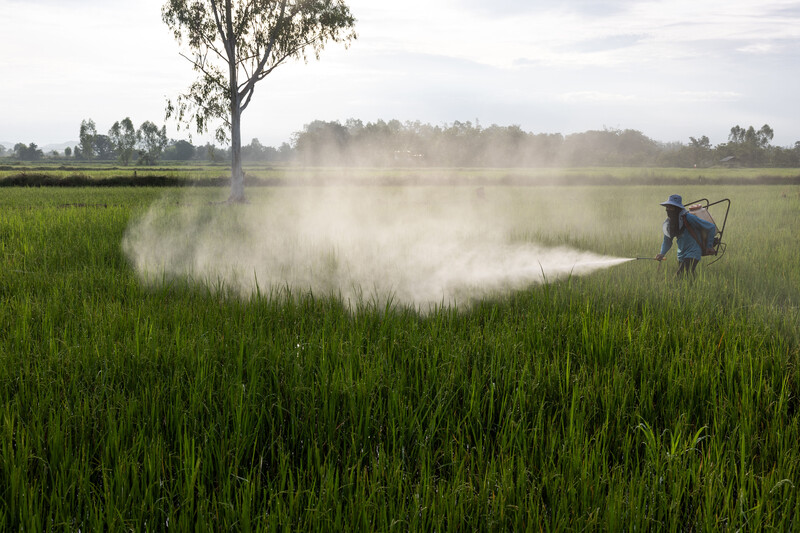 Chemical Use in Thai Agriculture by Luke Duggleby