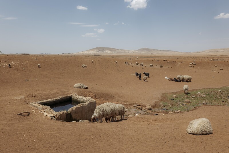 Drought in Syria's Daraa Province by Amadeusz Świerk