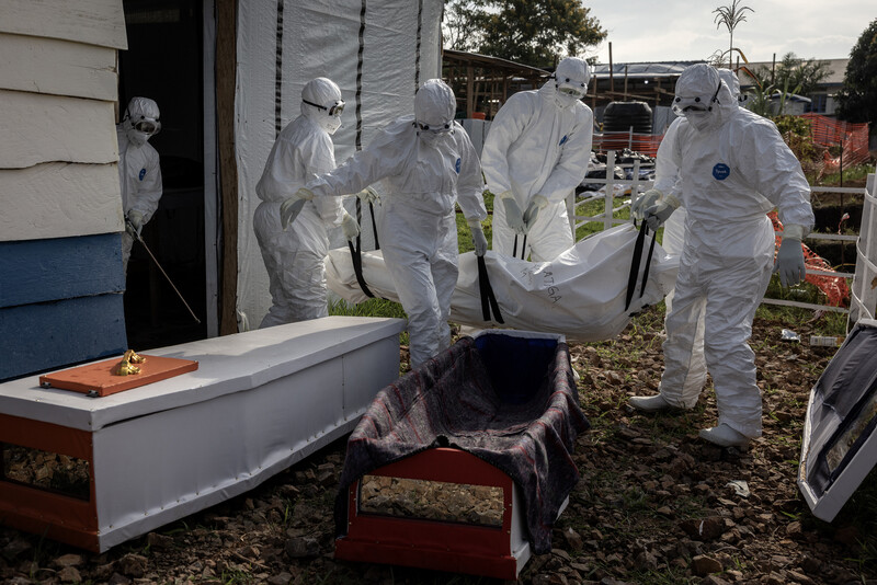 August 14, 2026 photos from The New York Times
