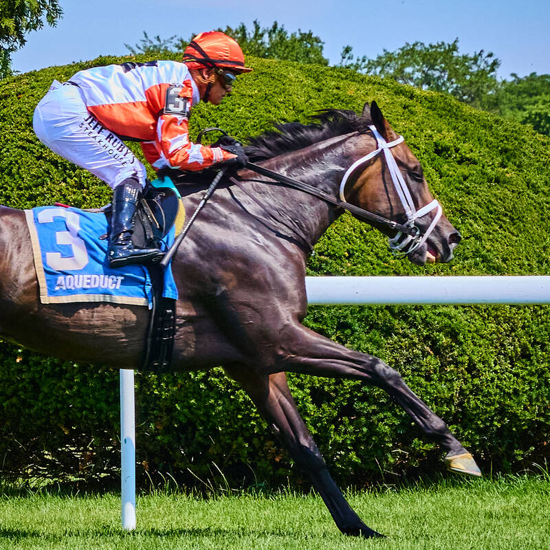 Aqueduct Bids Farewell by Lauren Caulk / Guardian