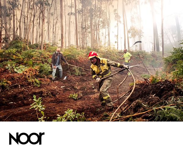 NOOR_Partners_Page