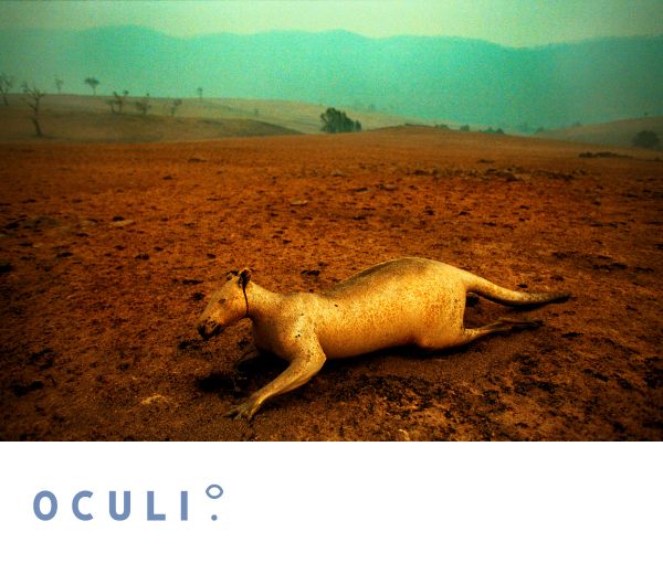 Oculi_UPDATED_Partners_Page