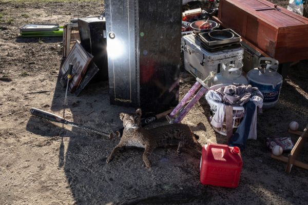 Personal effects and a taxidermied animal in front of a home after a tornado passed over killing several people and destroying homes in Beauregard, Alabama on March 5, 2019.