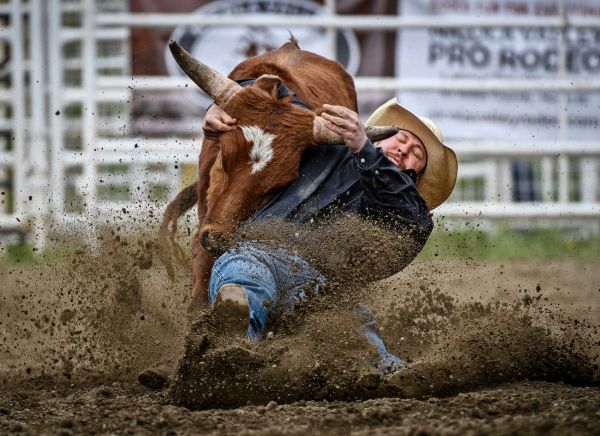 The 2019 Falkland Rodeo