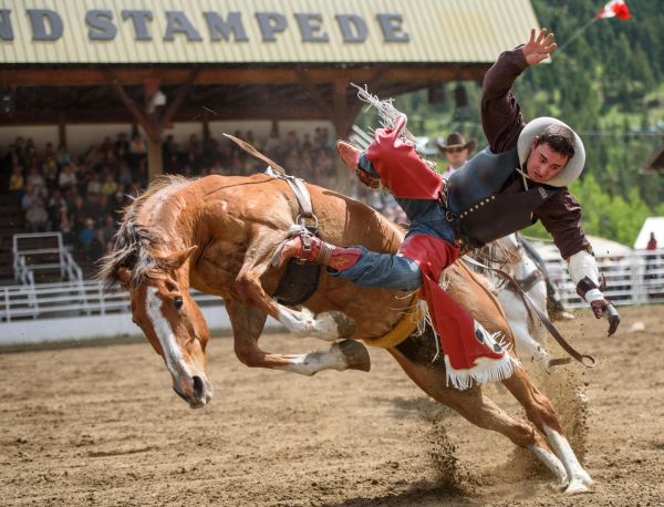 The Falkland Stampede-Bareback Riding