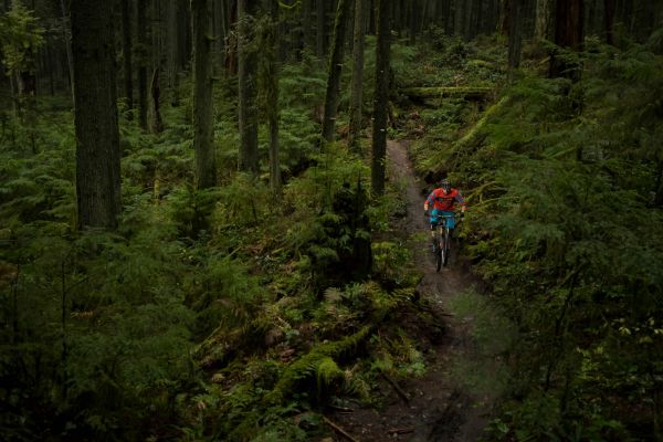 Mountain Biking on Mt. Seymour