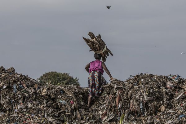 A woman collects firewood disguarded at the Kombo Municipal Council dump site at Bakoteh.