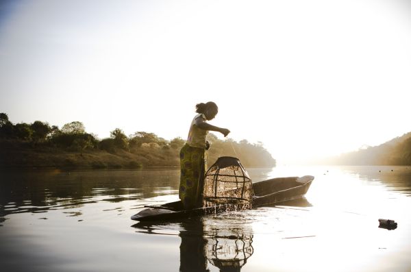 A migrant fisherwoman from Mali checks her fish traps near Fatoto, The Gambia.