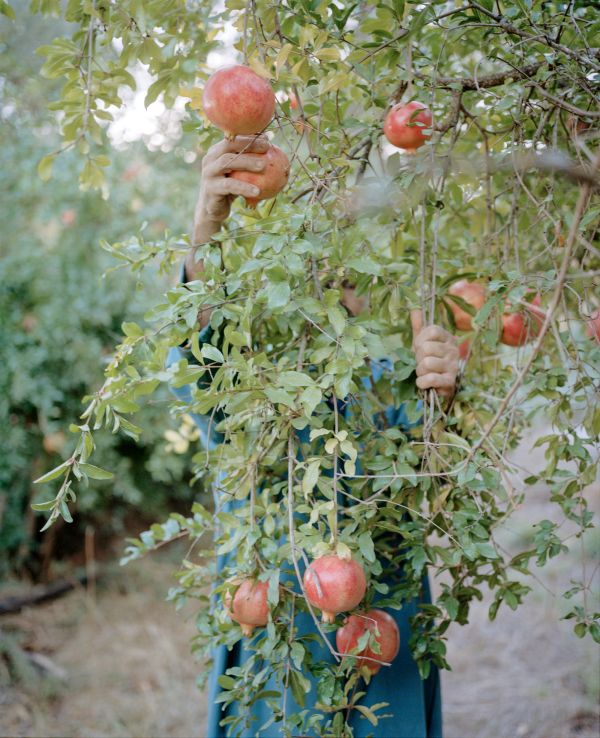 The Foodprint Project