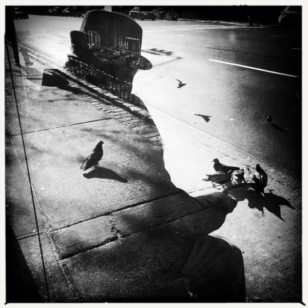 A lone man and pigeons, New York.