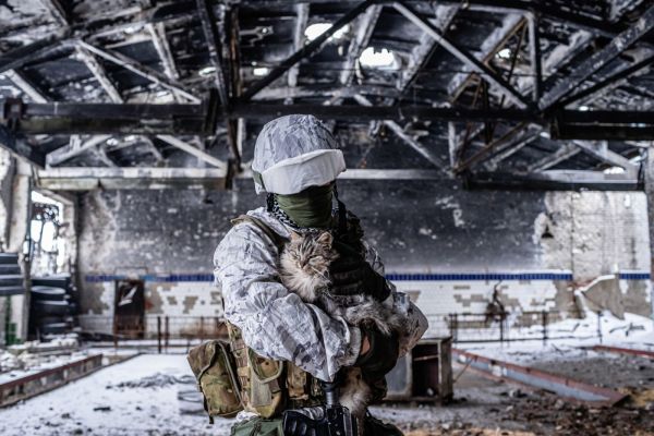 Solider Holding a Cat