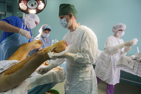 Dr. Vyacheslav Mykolayovych, a surgeon at the Kyiv City Burn Center, prepares to perform a skin graft on Vadym Dovhoryk, 23, a Special Forces soldier from Kirovohrad.