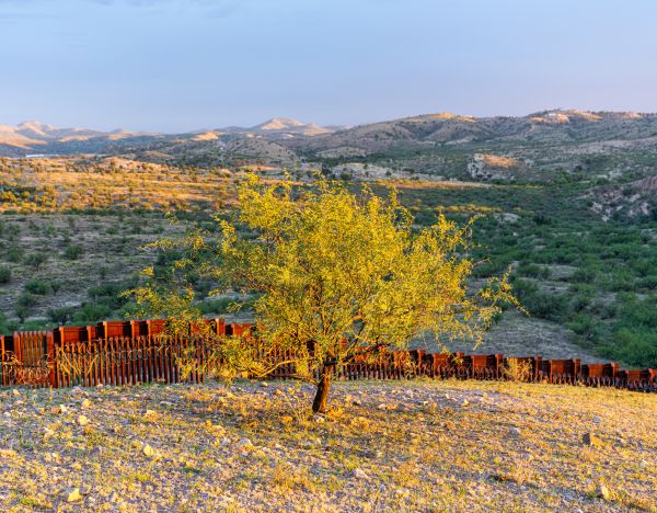 Border Wall