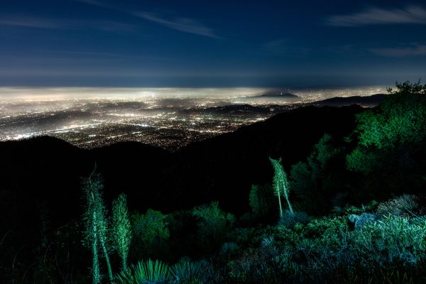 LA Nights