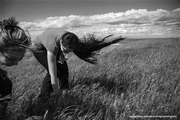 Indigenous women picking sweetgrass