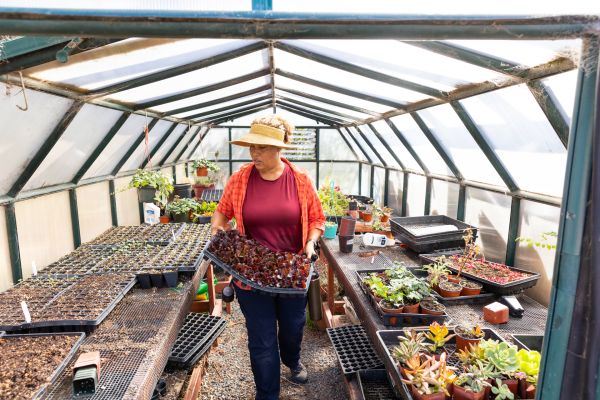 Jeni Barajas, Environmental Education Specialist, works in the greenhouse at Olivewood Gardens and Learning Center in National City, California.