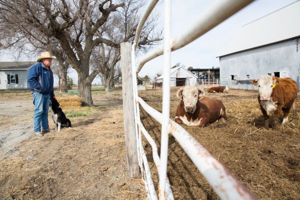 Gordon Jamison at Jamison Cattle Ranch in Quinter, Kansas.