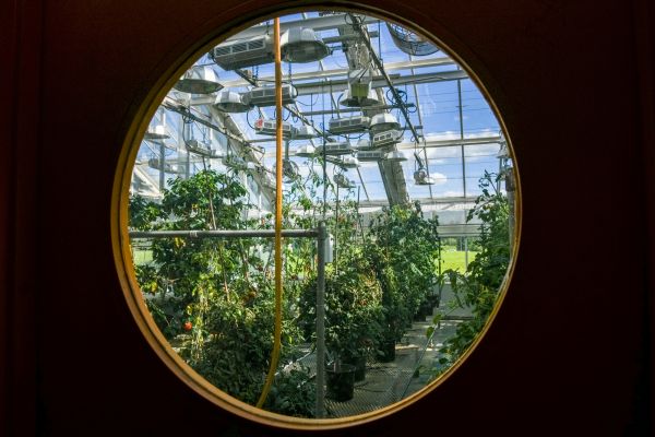 Greenhouse