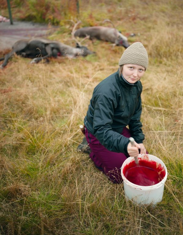 Sunna-Kati mixes the reindeer blood after the slaughter. This is done for more than an hour to keep it from coagulating.