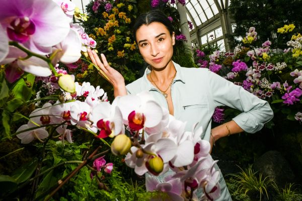 "Let Lily Kwong—and a Mountainful of Orchids—Resensitize Your Cold, Dead Heart."