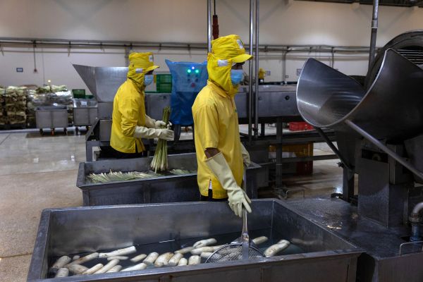 Workers clean vegetables at the NRF processing plant in Samut Sakhon, Thailand.