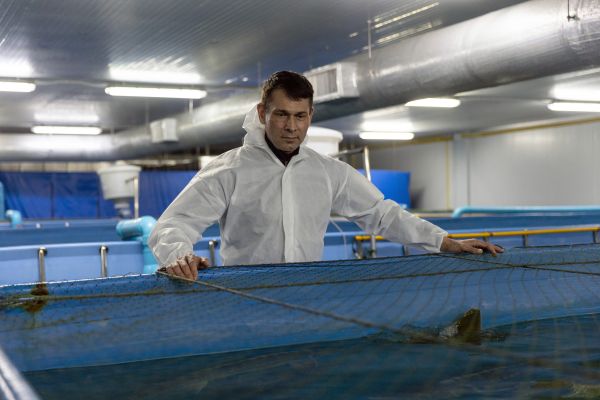 Alexey Tyutin, owner of Thai Sturgeon Farm Co. Ltd stands in the main pond area which holds over 1600 sturgeon fish.
