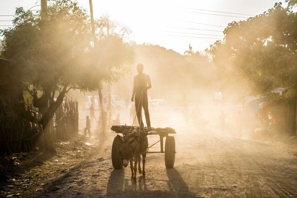 Wooden carts drawn by donkeys rattle along the streets of Hawassa, Ethiopia, on January 17, 2018.
