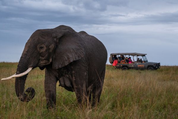 Visitors to Emboo Camp in Kenya’s Maasai Mara National Reserve enjoy a drive in a converted electric safari vehicle, a green innovation that could upend the Kenya safari experience — and help preserve the delicate ecosystems that draw some two million tourists to the country every year — on May 13, 2021.