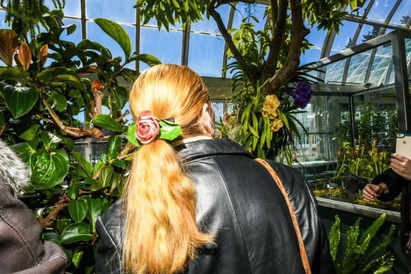 The Orchid Show at The New York Botanical Garden in The Bronx.