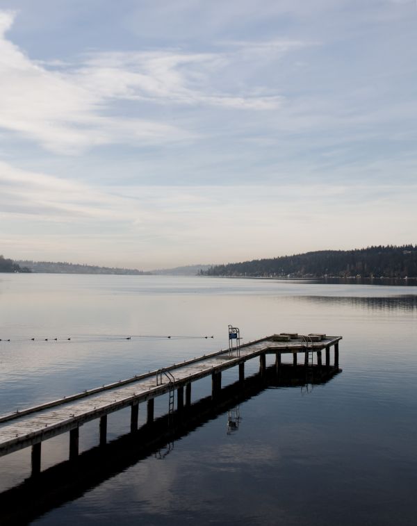 Dock