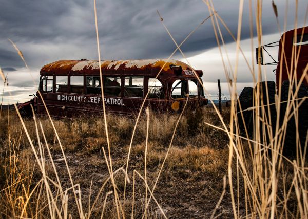 Bus