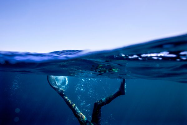 Swimming