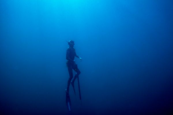 Diving