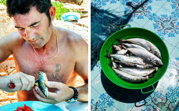 Sardines